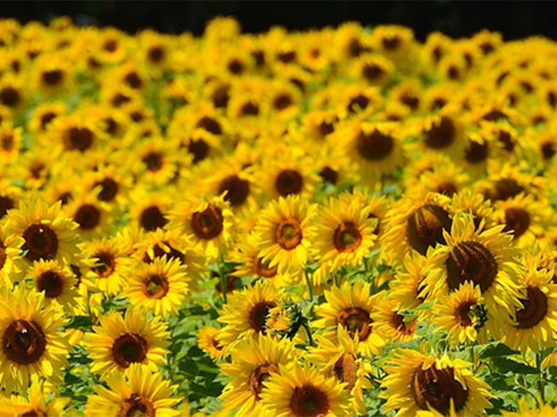 feature practical steps to build self confidence